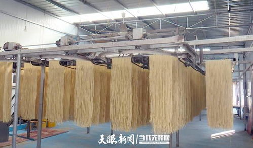 赫章縣六曲河鎮 小麥面條上餐桌 群眾致富奔小康